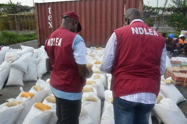 NDLEA recruitment