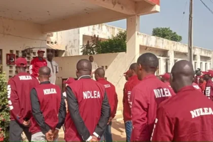 NDLEA training date