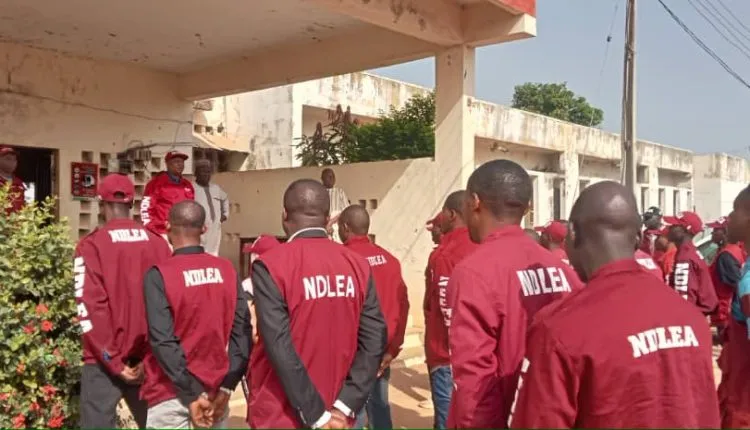 NDLEA training date